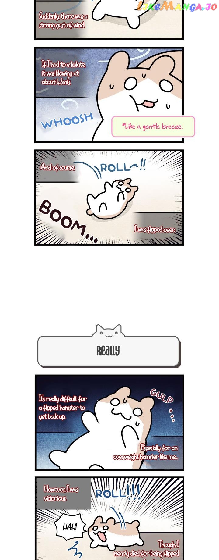 Cats Own The World chapter 68 - page 5