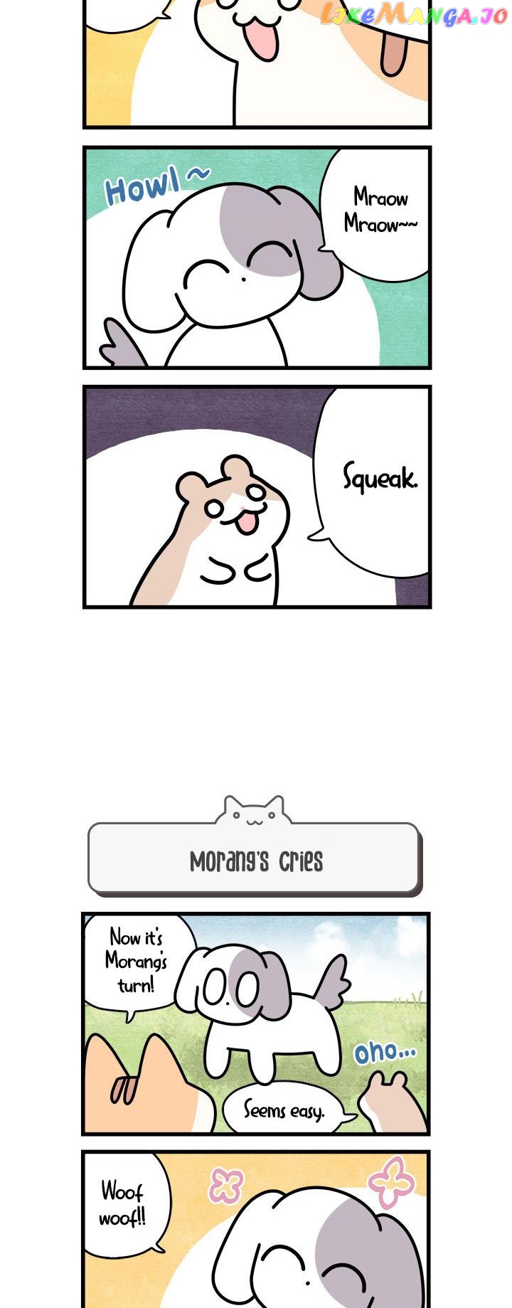 Cats Own The World chapter 69 - page 3