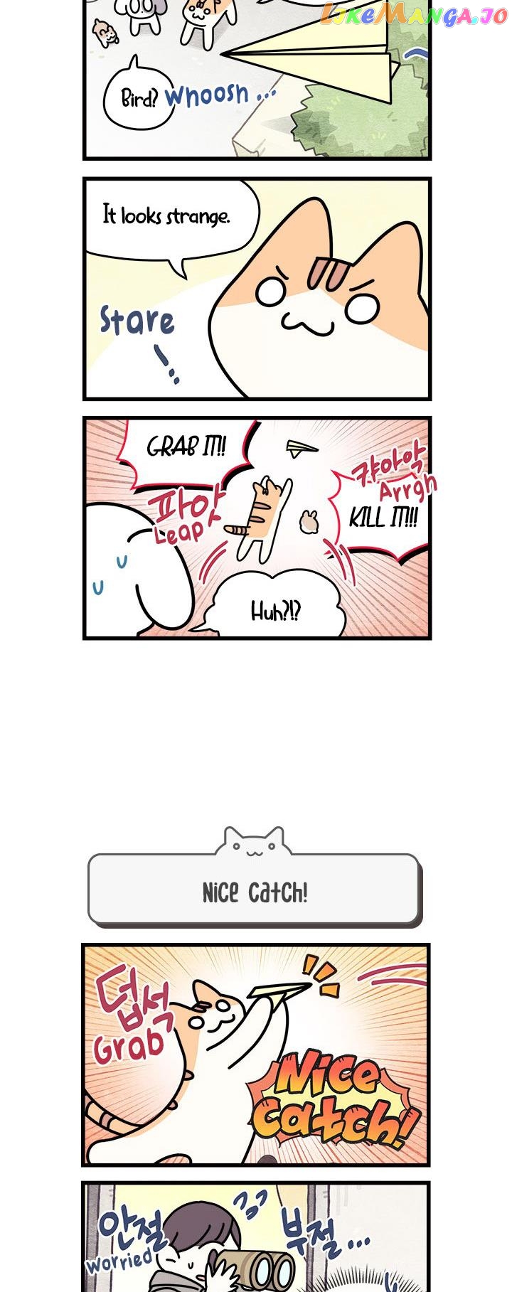 Cats Own The World chapter 70 - page 3