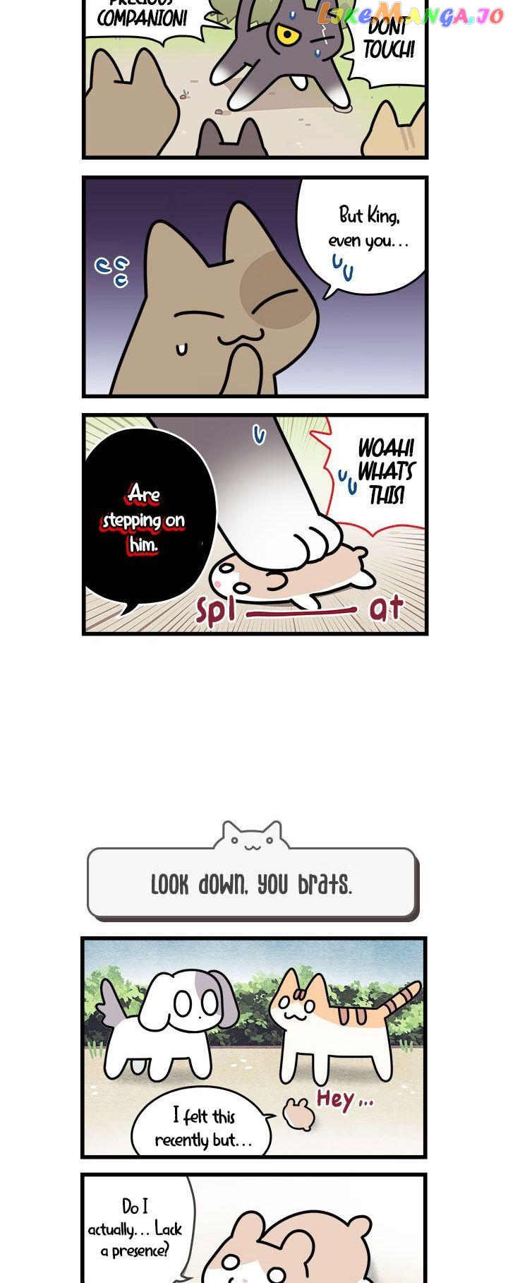 Cats Own The World chapter 72 - page 3