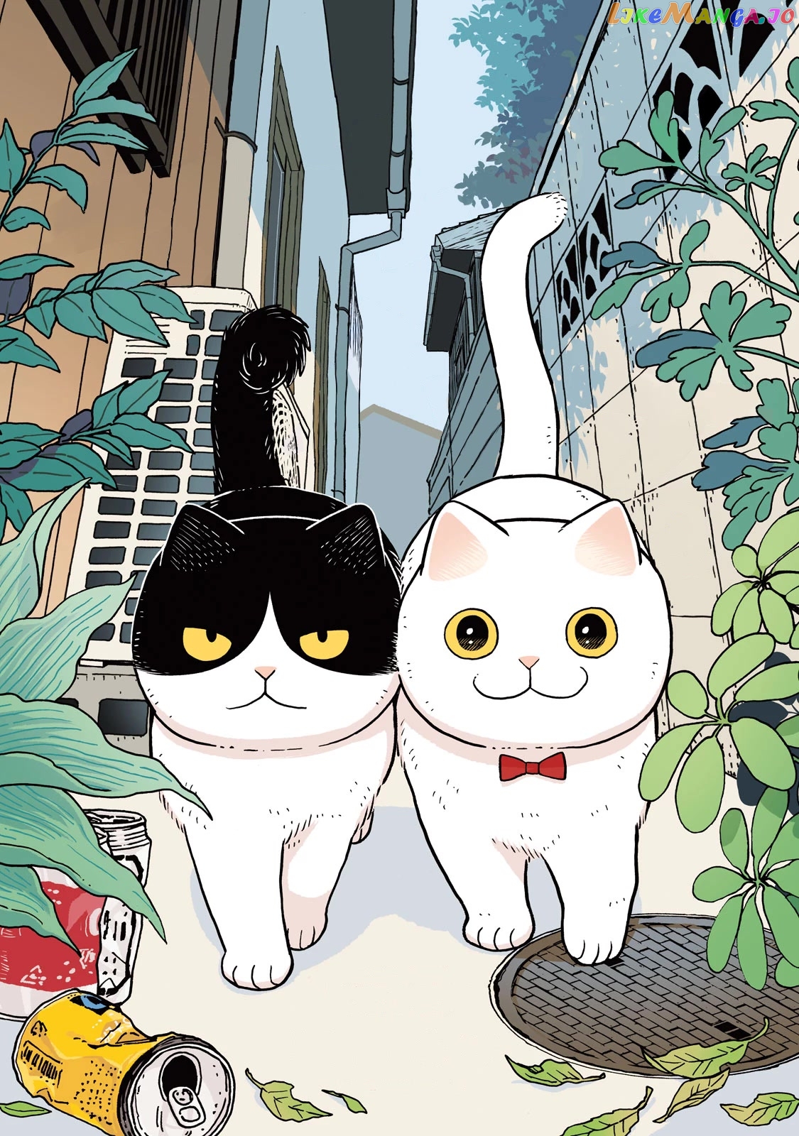 Cat Partners: Maruru And Hachi chapter 1 - page 3