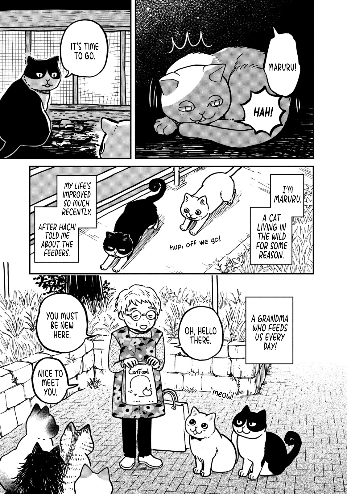 Cat Partners: Maruru And Hachi chapter 2 - page 4