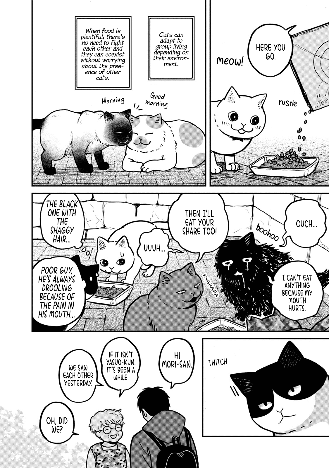 Cat Partners: Maruru And Hachi chapter 2 - page 5