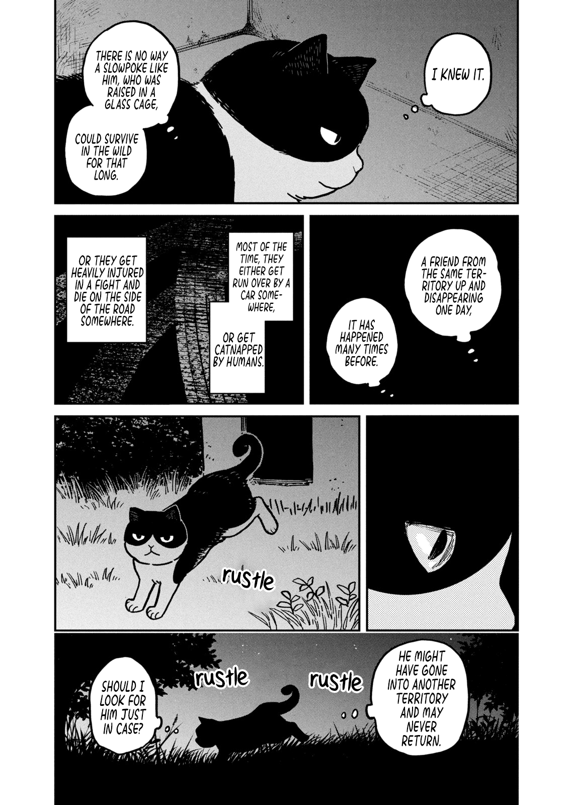 Cat Partners: Maruru And Hachi chapter 3 - page 7