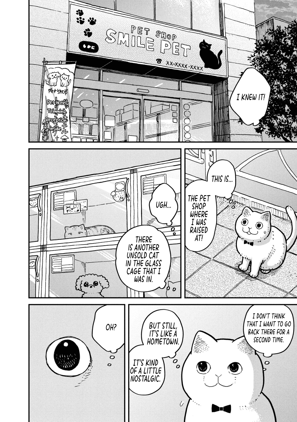 Cat Partners: Maruru And Hachi chapter 4 - page 3