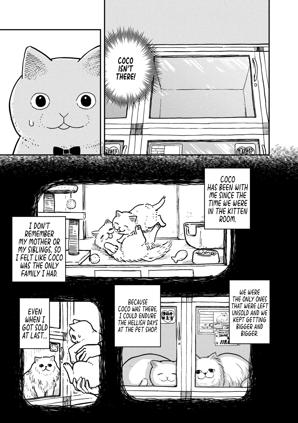 Cat Partners: Maruru And Hachi chapter 4 - page 4