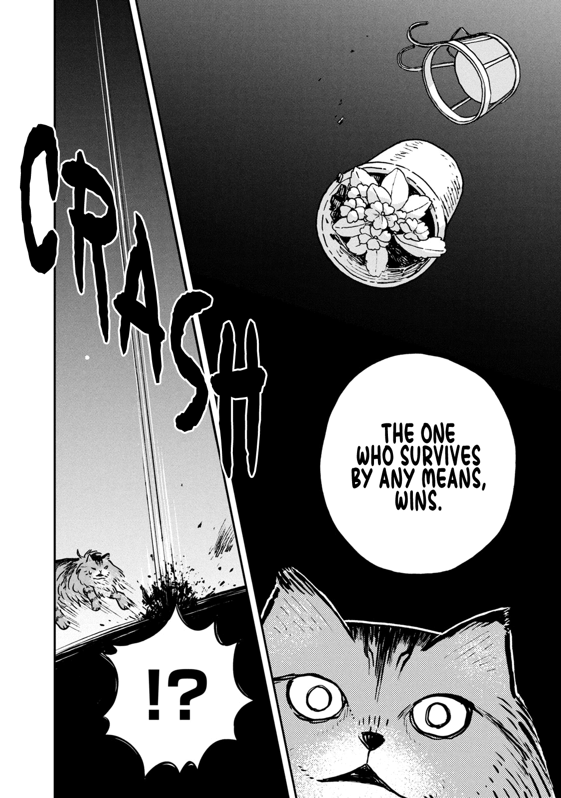 Cat Partners: Maruru And Hachi chapter 5 - page 7