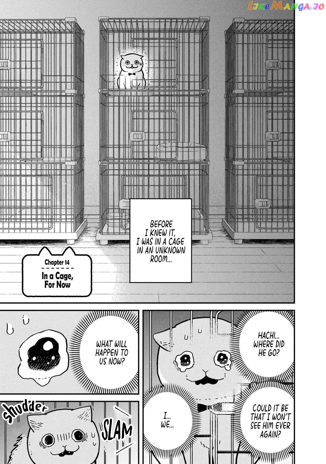Cat Partners: Maruru And Hachi chapter 14 - page 2