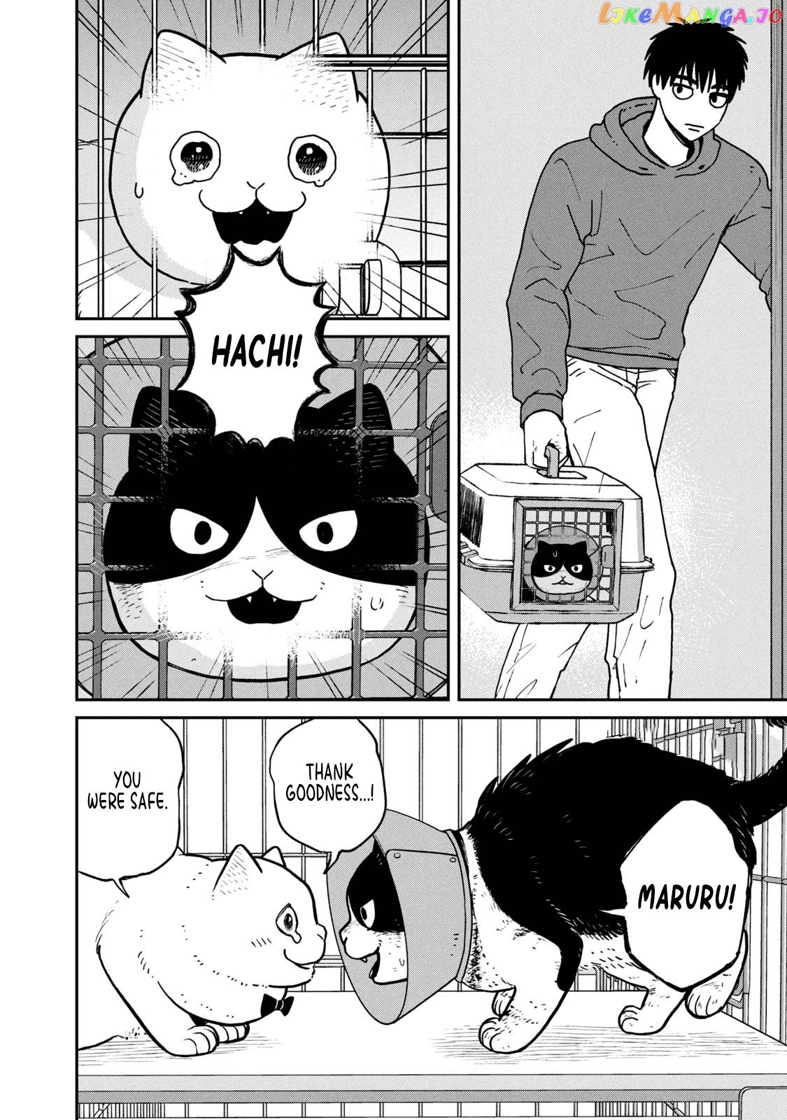 Cat Partners: Maruru And Hachi chapter 14 - page 3