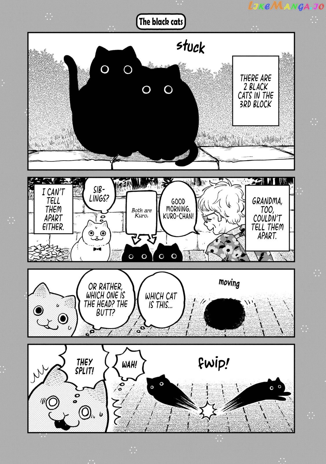 Cat Partners: Maruru And Hachi chapter 18.1 - page 2