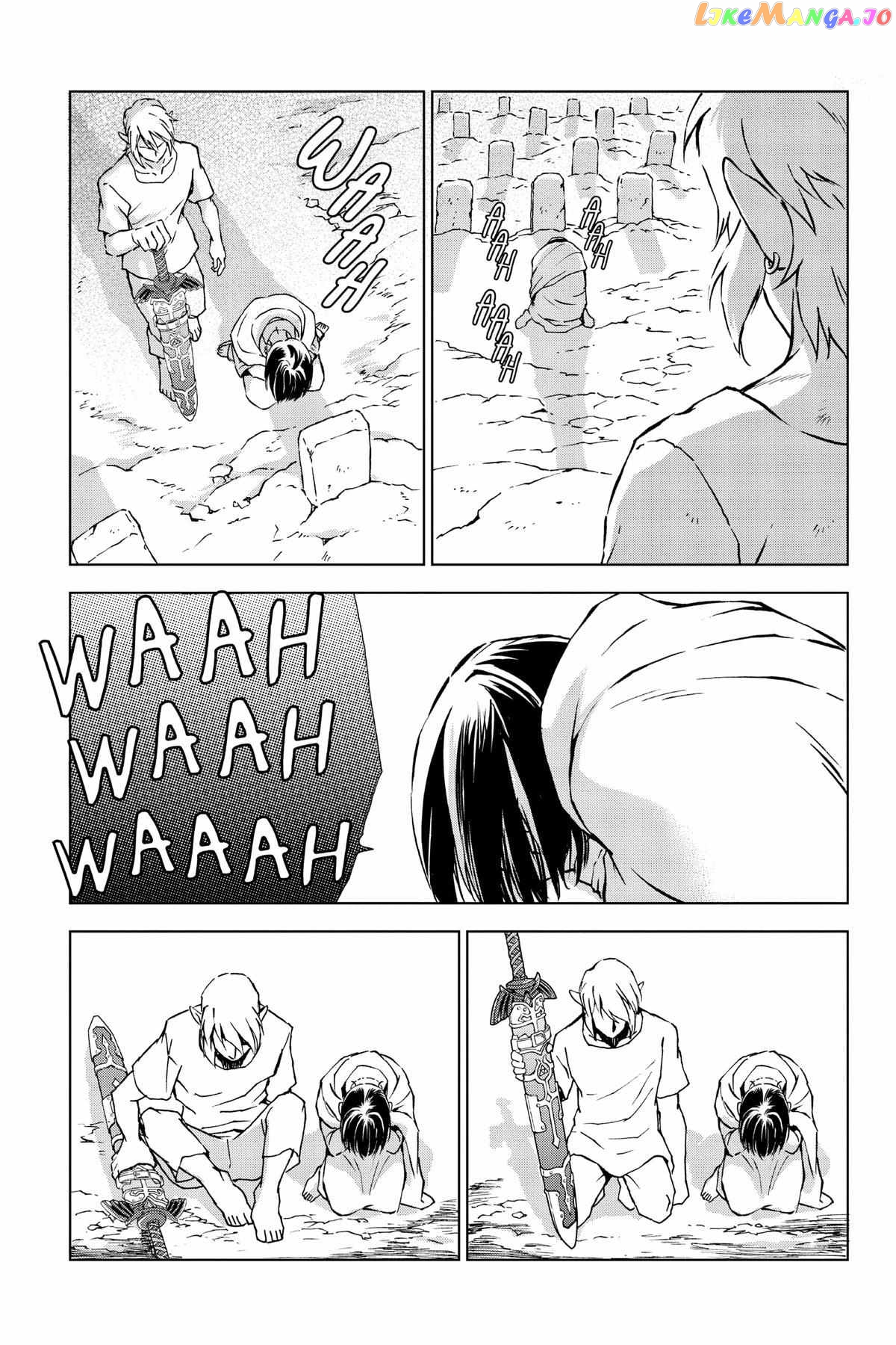 Zelda No Densetsu – Twilight Princess chapter 38 - page 14