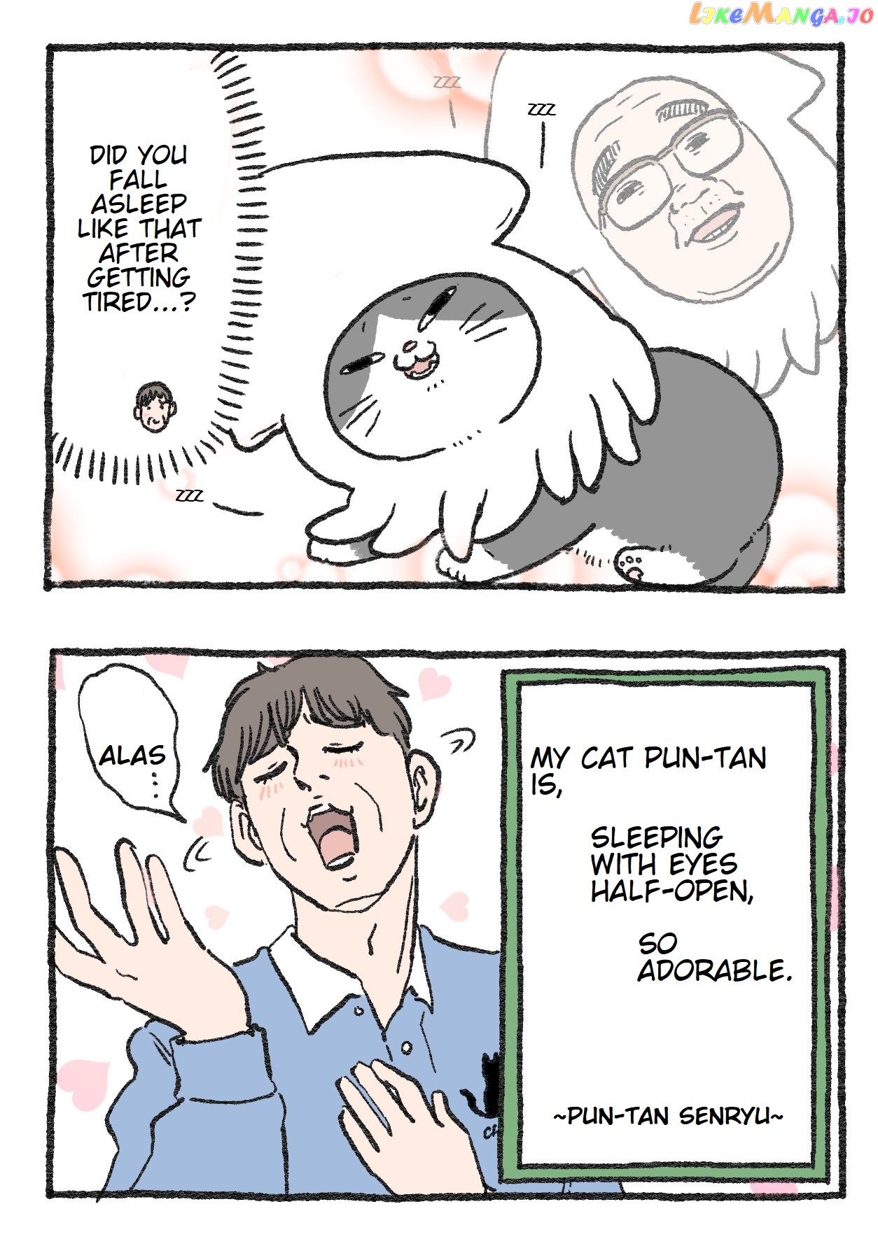 The Old Man Who Was Reincarnated As A Cat chapter 113 - page 2