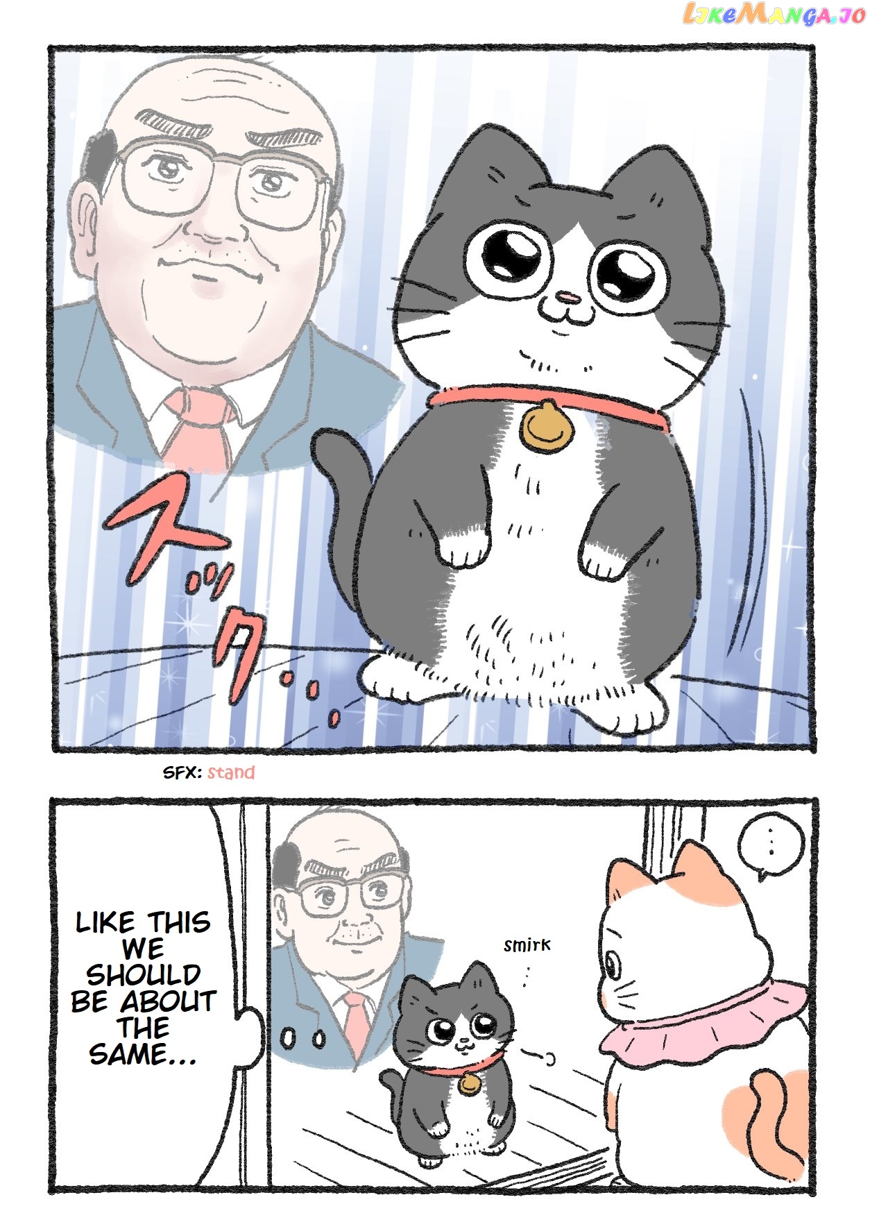 The Old Man Who Was Reincarnated As A Cat chapter 125 - page 2