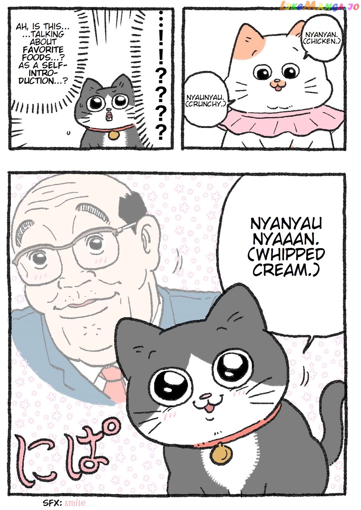 The Old Man Who Was Reincarnated As A Cat chapter 126 - page 2