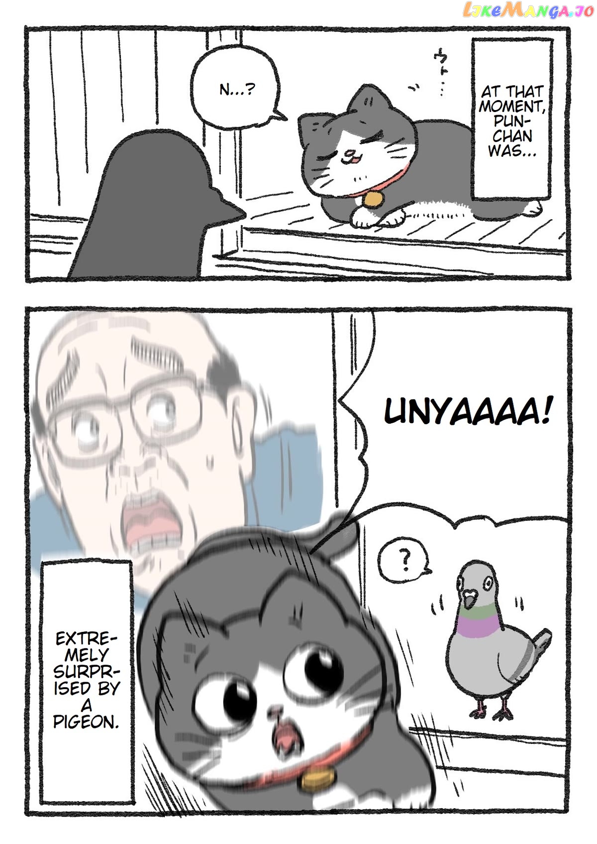 The Old Man Who Was Reincarnated As A Cat chapter 131 - page 3