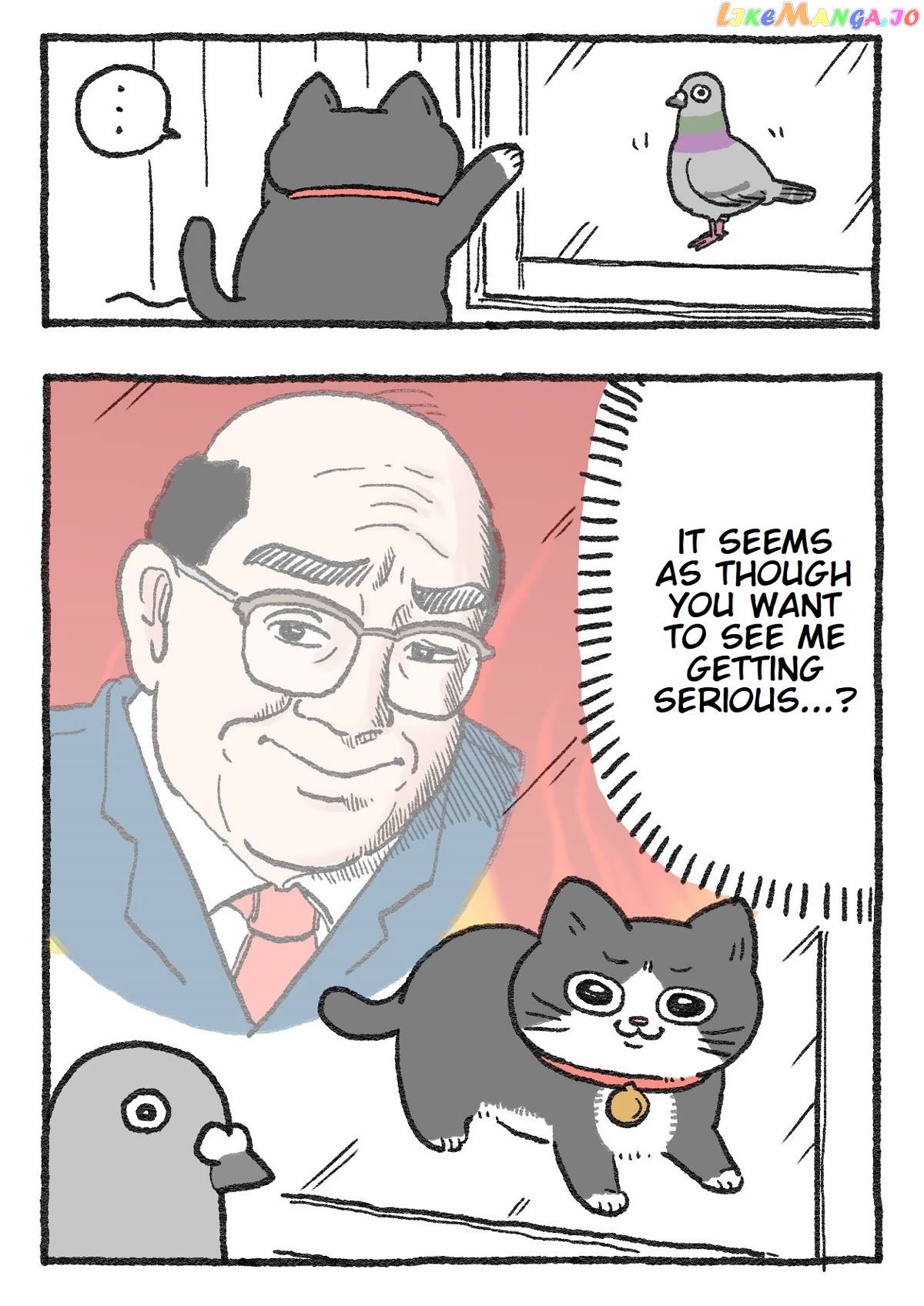 The Old Man Who Was Reincarnated As A Cat chapter 132 - page 2