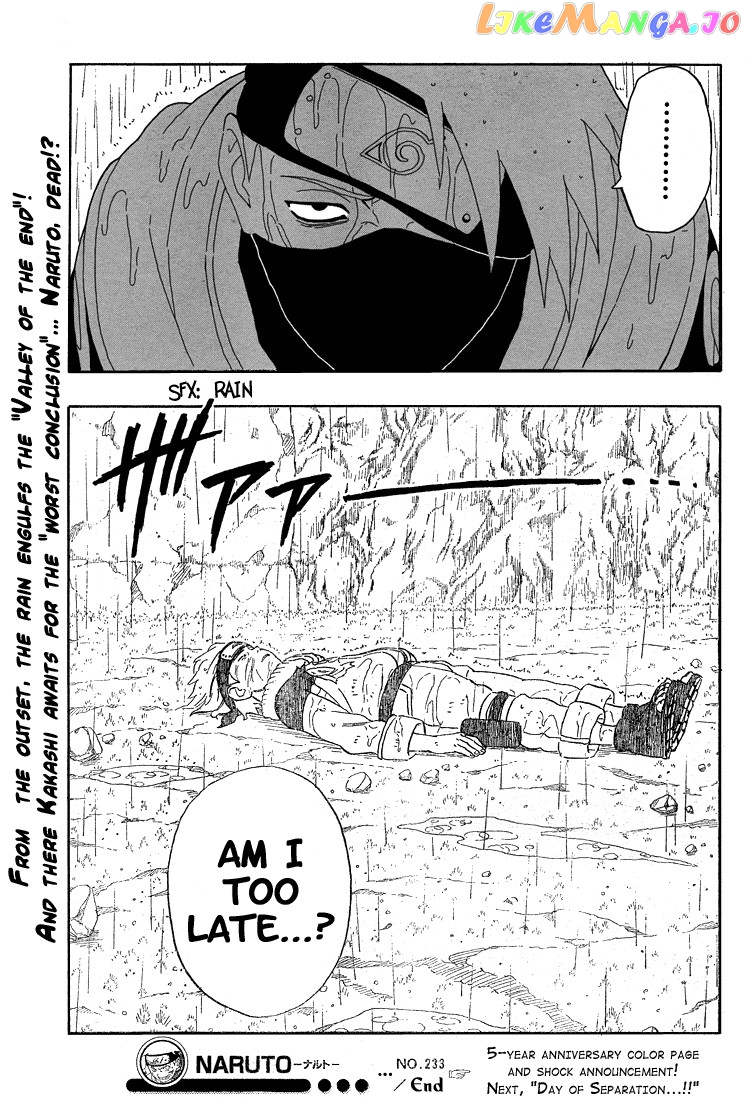 Naruto - Manga Chapter 233 - page 19