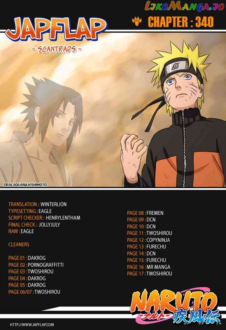 Naruto - Manga Chapter 340 - page 17