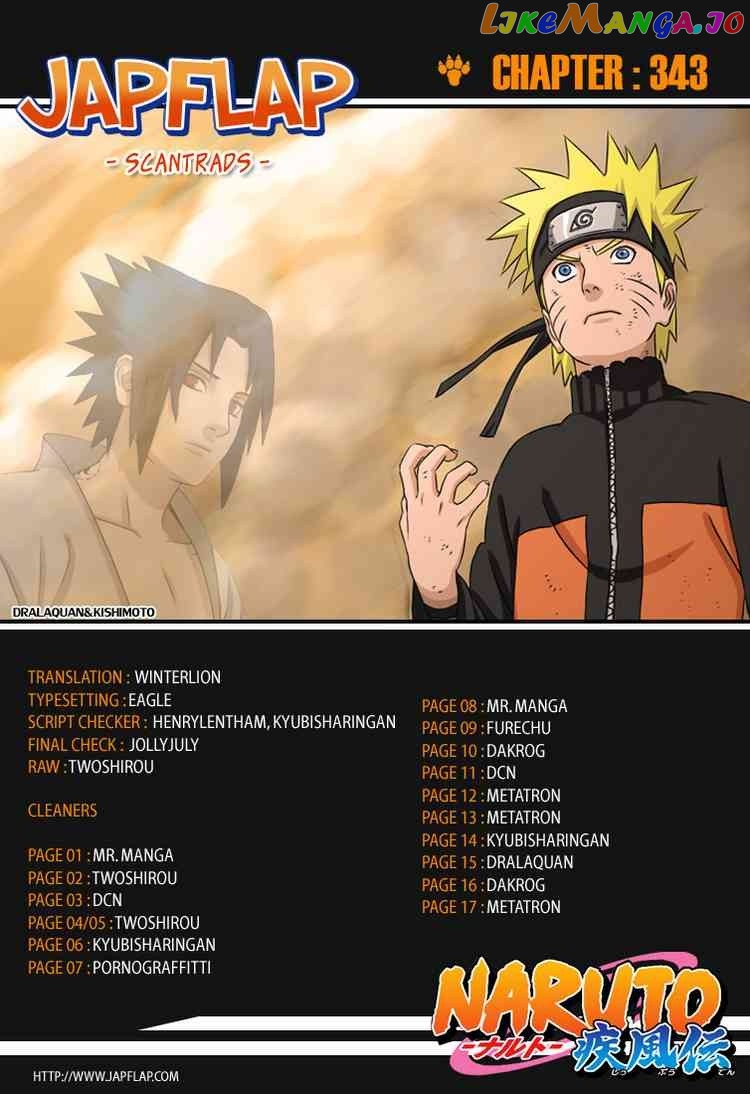 Naruto - Manga Chapter 343 - page 17