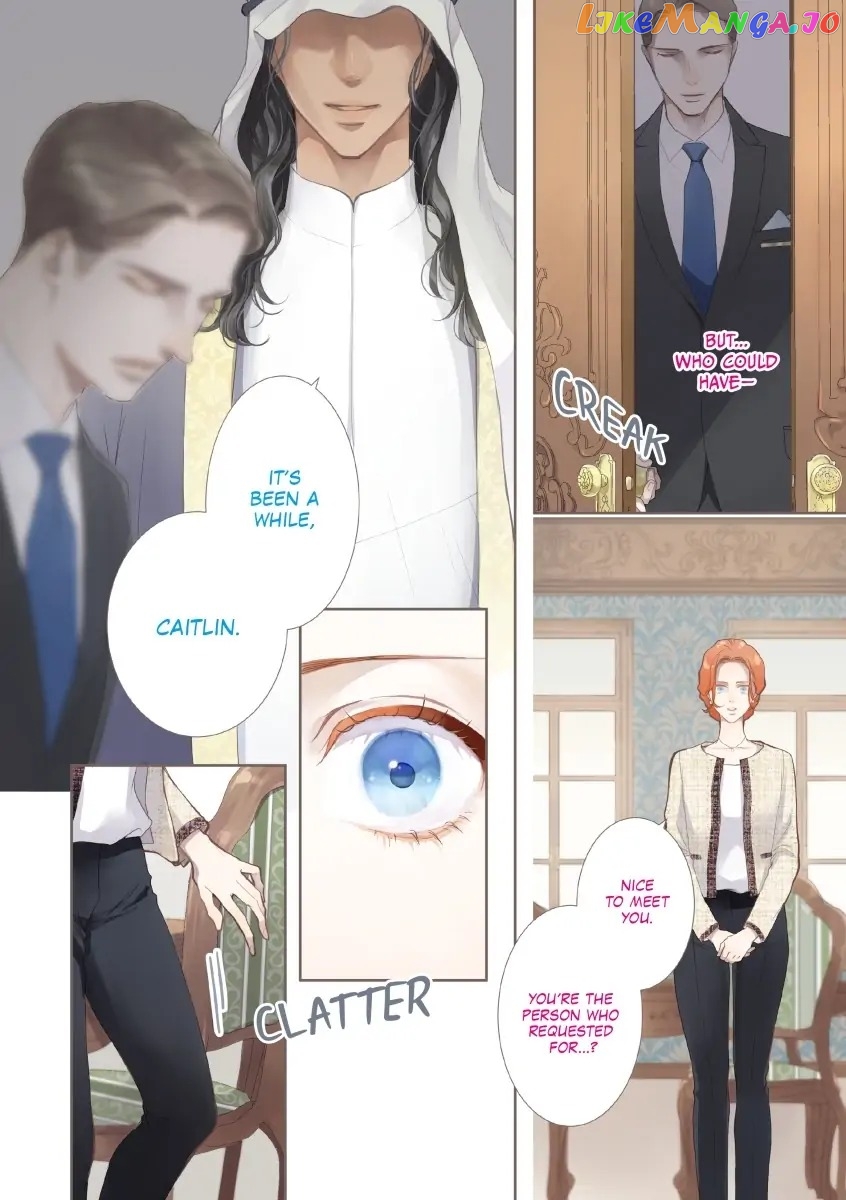 The Sheikh's Royal Announcement Chapter 1 - page 5