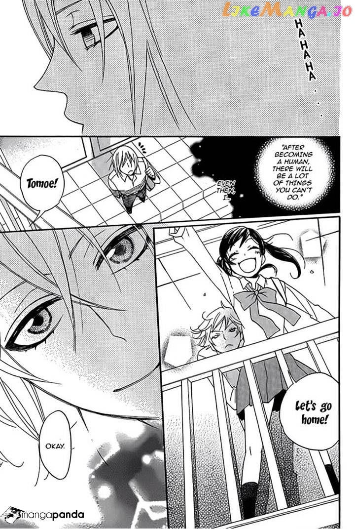 Kamisama Hajimemashita chapter 116 - page 17