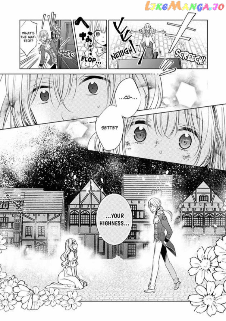 Beating the Heroine at Her Own Game chapter 11 - page 20