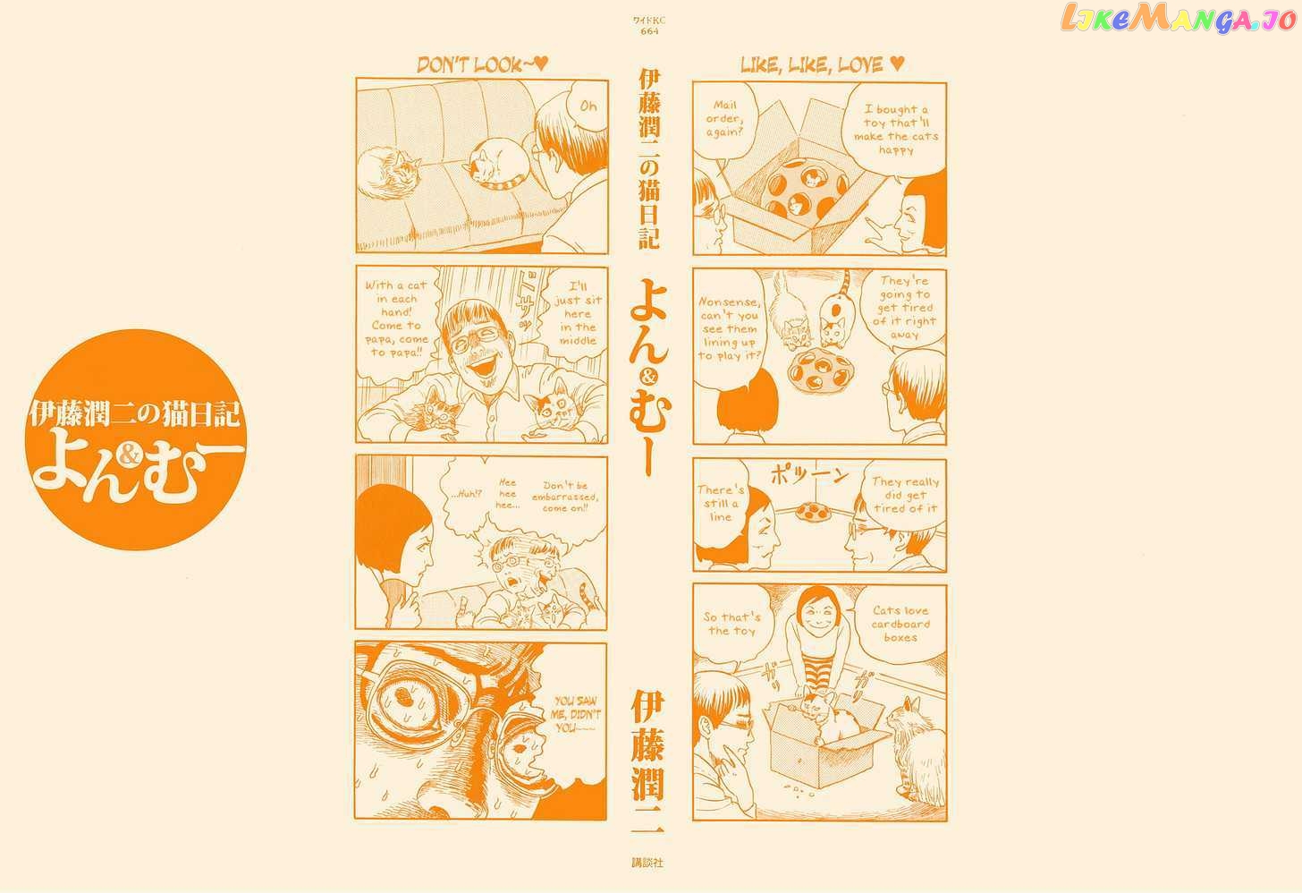 Itou Junji no Neko Nikki: Yon & Mu chapter 1 - page 4