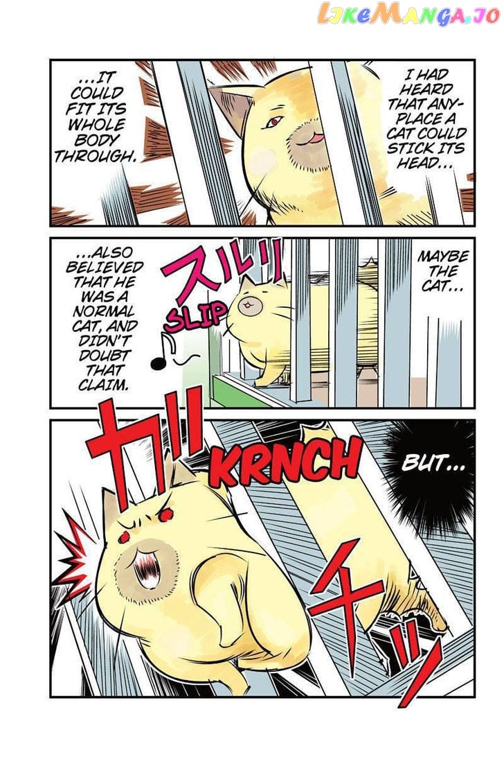 Tawara Neko to Machigai Jinsei chapter 7 - page 3