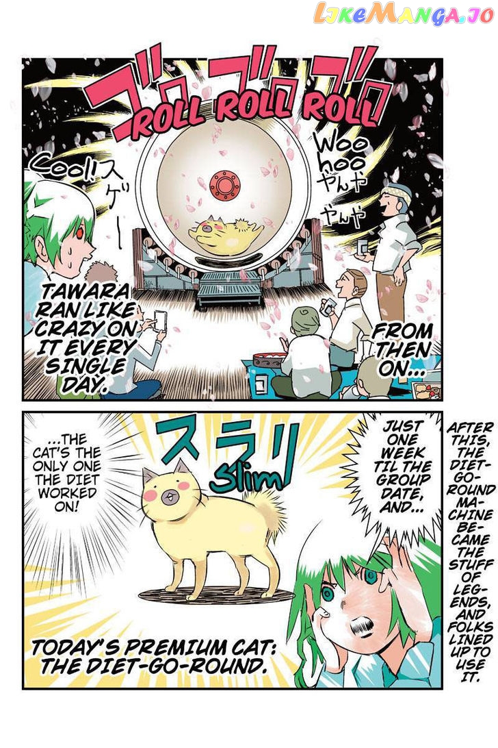 Tawara Neko to Machigai Jinsei chapter 12 - page 18