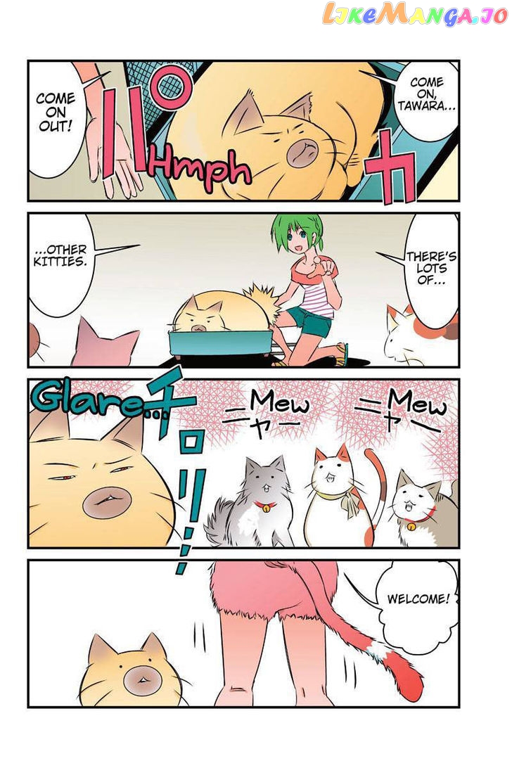 Tawara Neko to Machigai Jinsei chapter 18 - page 12