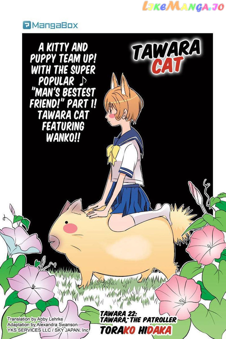 Tawara Neko to Machigai Jinsei chapter 22 - page 1