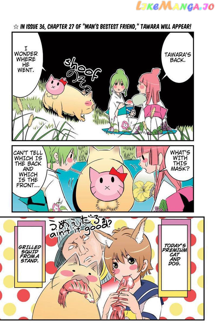 Tawara Neko to Machigai Jinsei chapter 22 - page 18