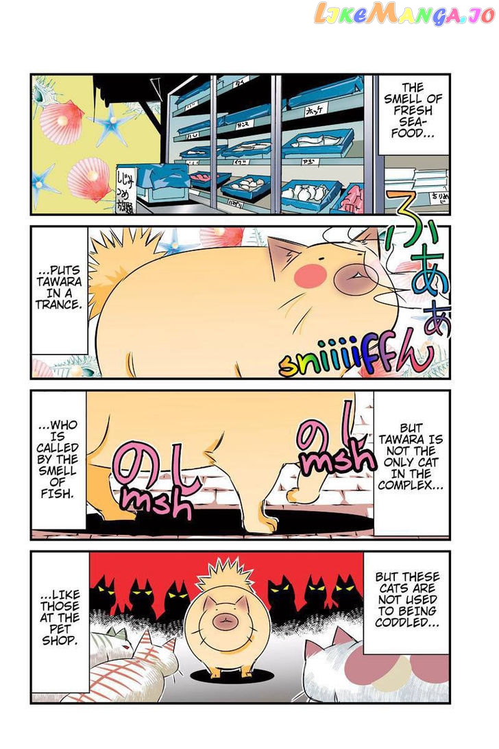 Tawara Neko to Machigai Jinsei chapter 24 - page 10