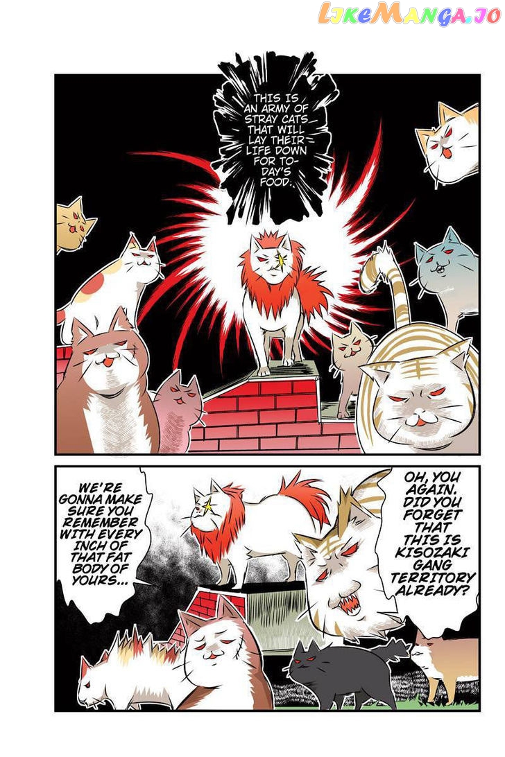 Tawara Neko to Machigai Jinsei chapter 24 - page 11