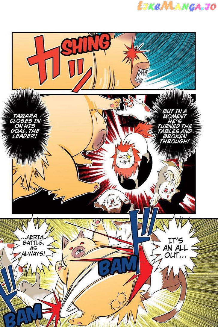 Tawara Neko to Machigai Jinsei chapter 24 - page 12