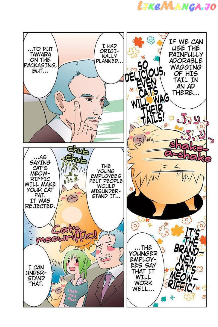 Tawara Neko to Machigai Jinsei chapter 27 - page 11