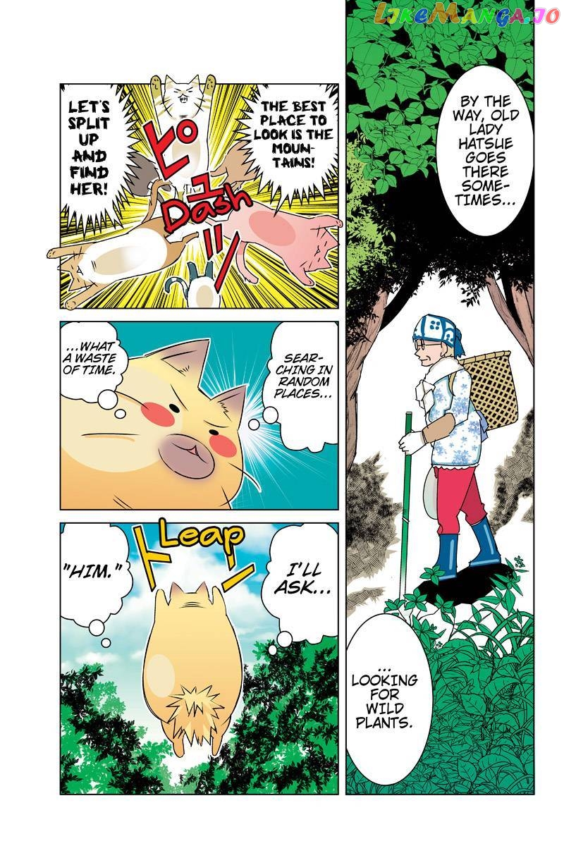 Tawara Neko to Machigai Jinsei chapter 30 - page 13