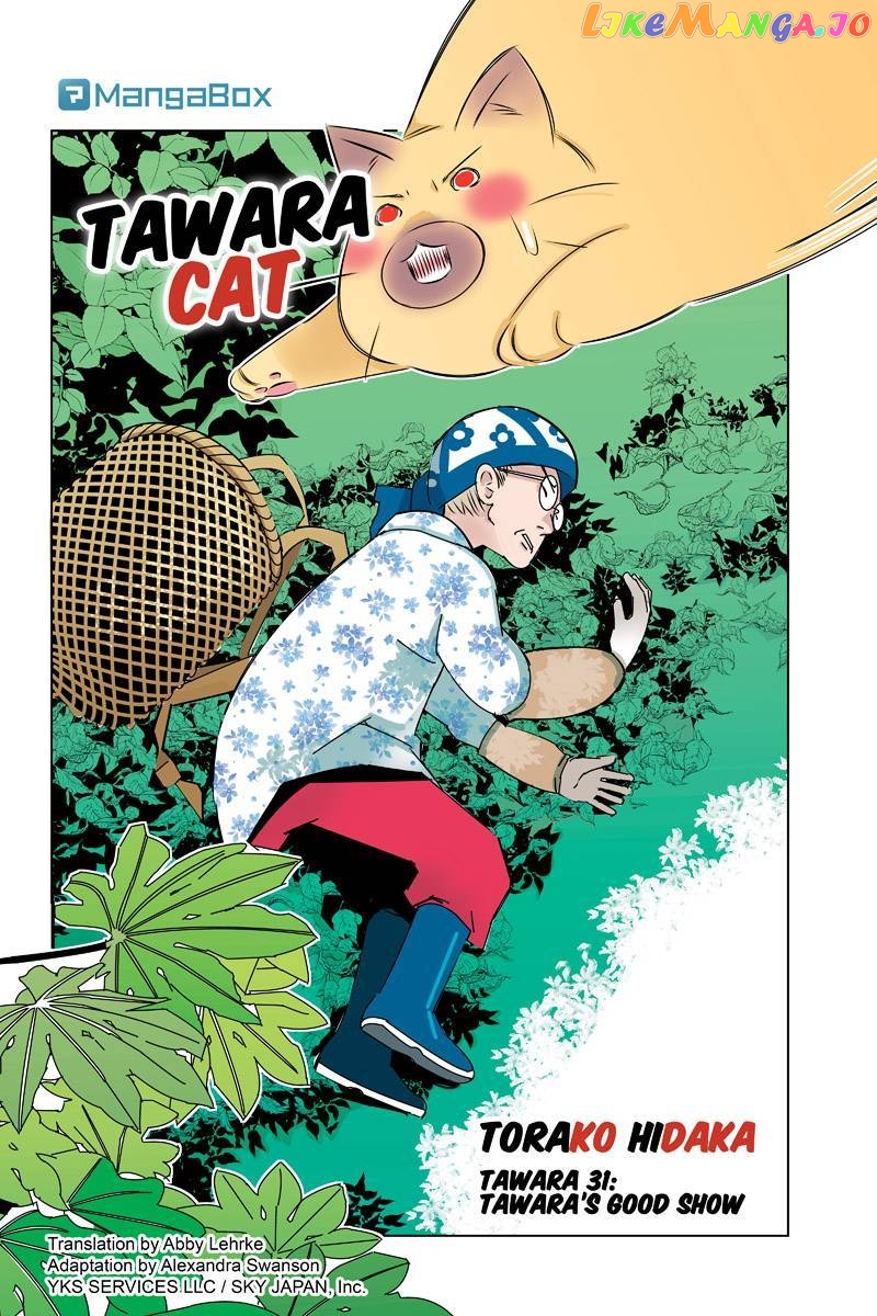 Tawara Neko to Machigai Jinsei chapter 31 - page 2
