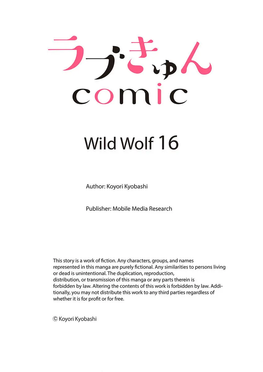 Wild Wolf chapter 16 - page 27