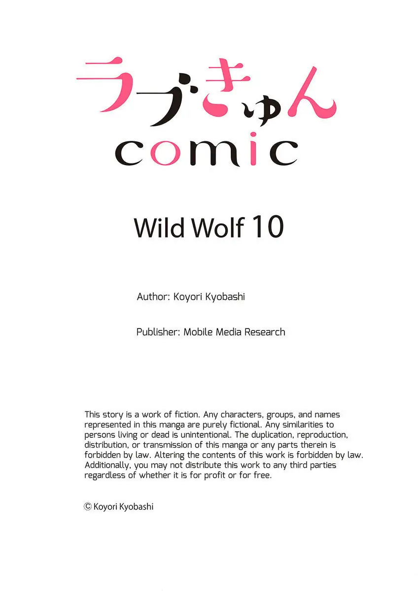 Wild Wolf chapter 10 - page 27