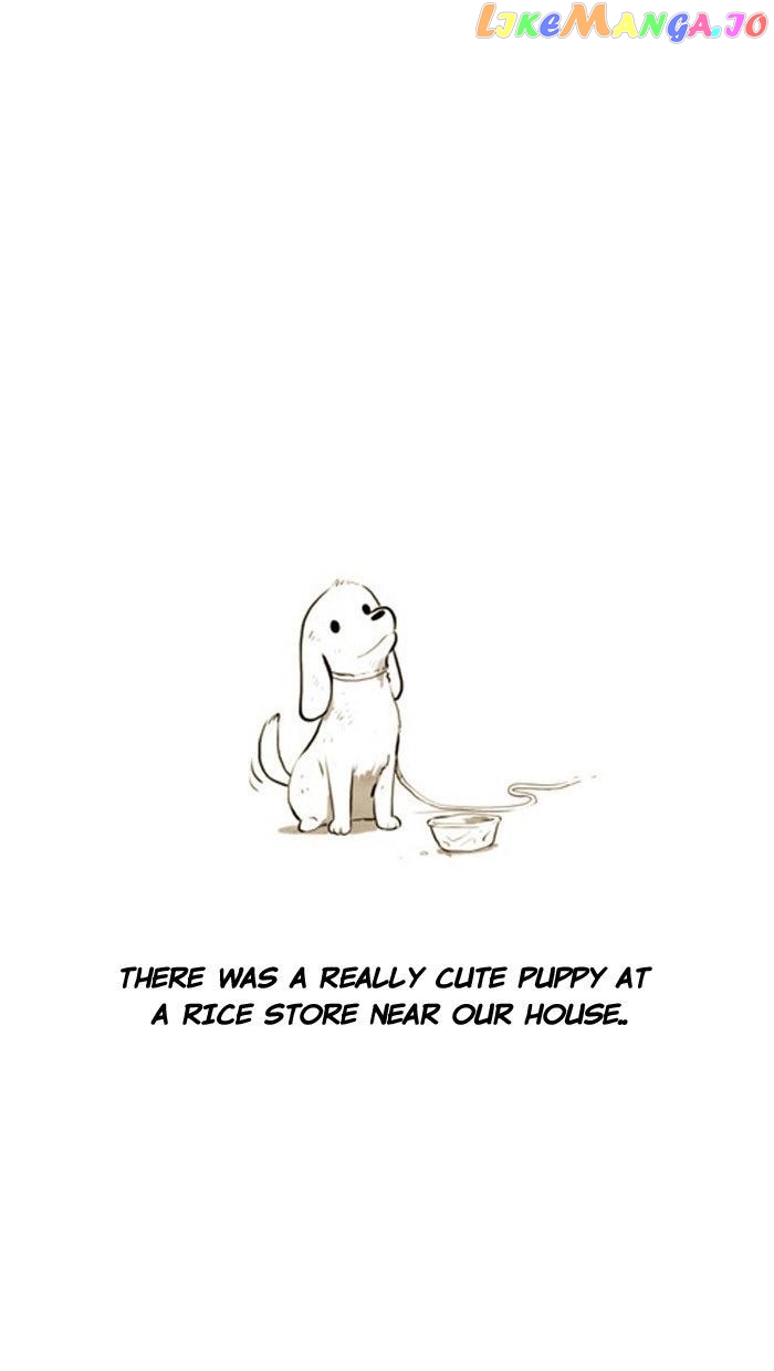 Smile Brush: My Old Pictures chapter 40 - page 3