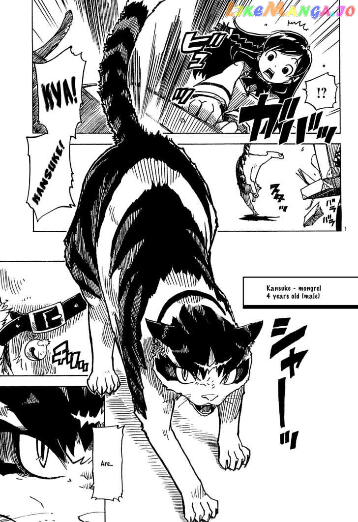 Gakuen Sousei Nekoten! chapter 1 - page 6