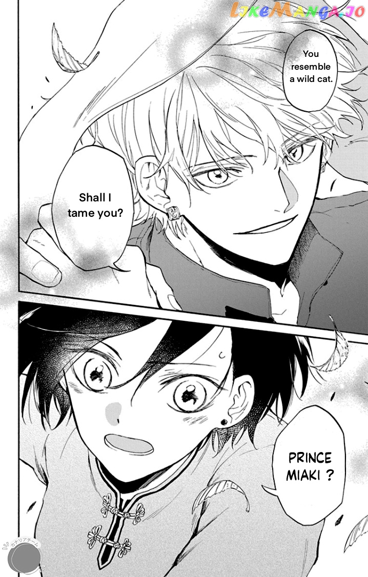 Shadow Princess of the Dragon King Chapter 3 - page 4