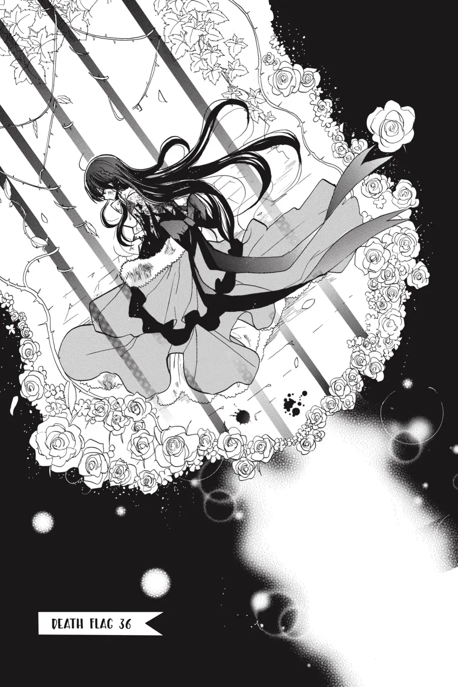 The Reincarnated Villainess’ Dark History chapter 36 - page 2