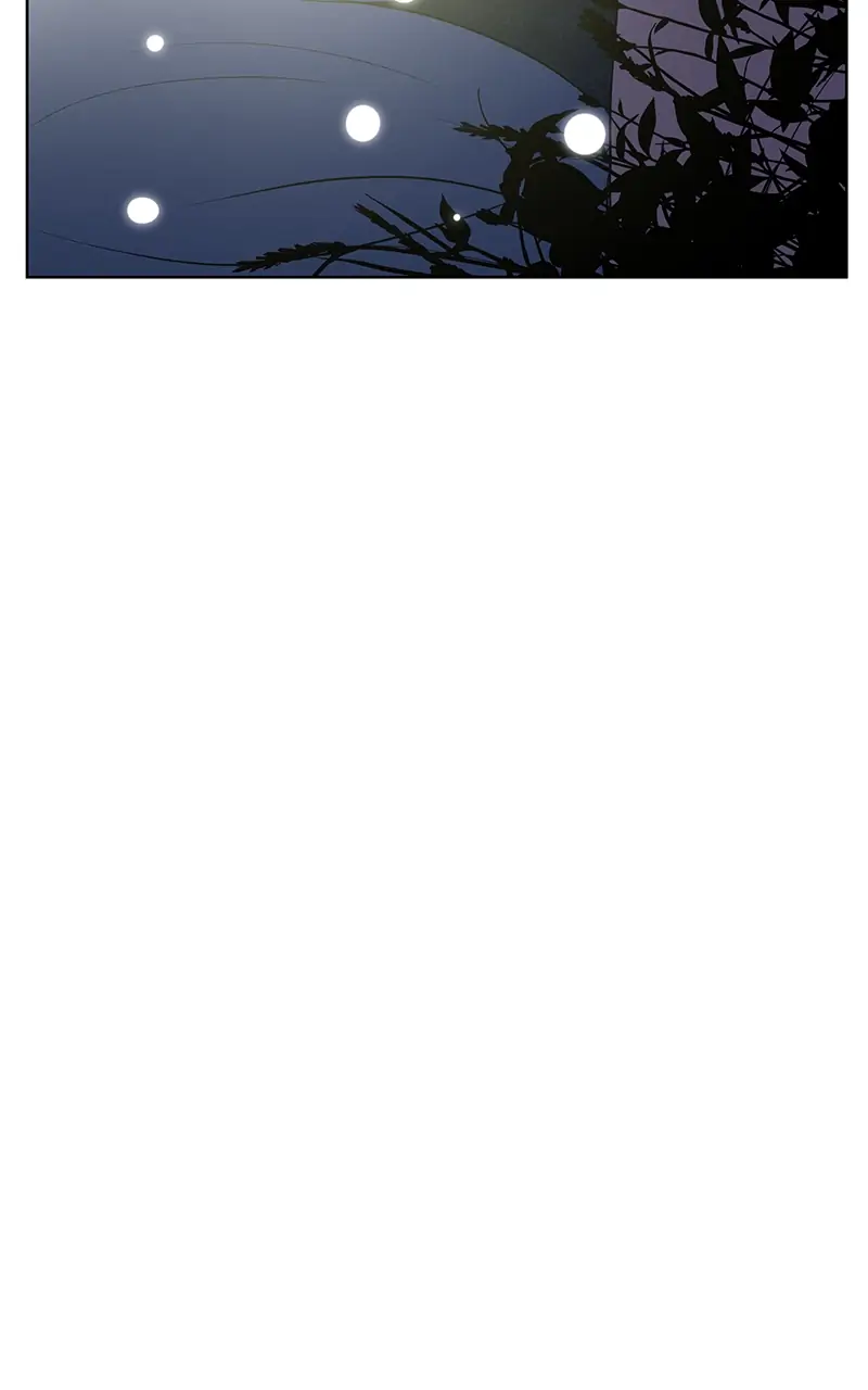 The Child of a Star chapter 19 - page 44