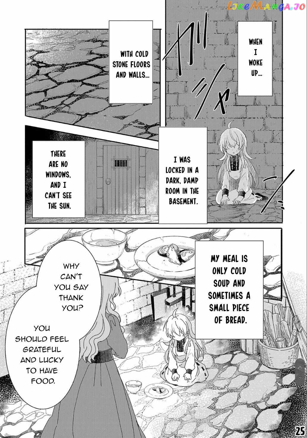 Gyakutaisarete Ita Shouka no Reijou wa Seijo no Chikara wo Te ni Ire, Mujikaku ni Youshanaku Gyakushuu suru chapter 1 - page 26