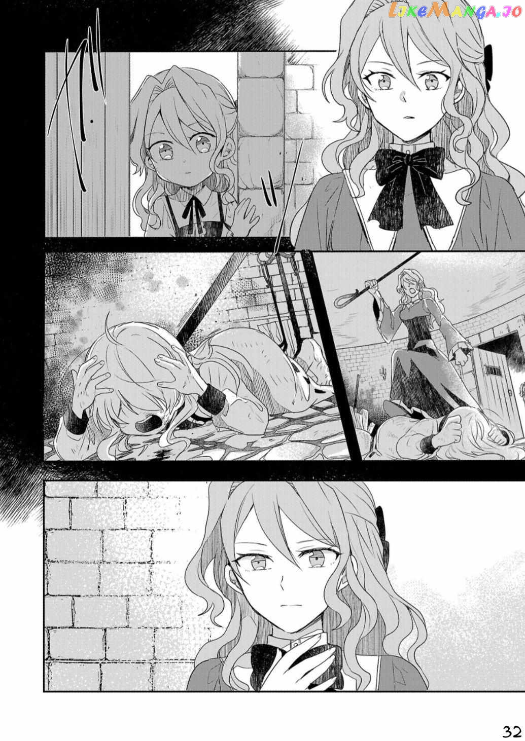 Gyakutaisarete Ita Shouka no Reijou wa Seijo no Chikara wo Te ni Ire, Mujikaku ni Youshanaku Gyakushuu suru chapter 1 - page 33