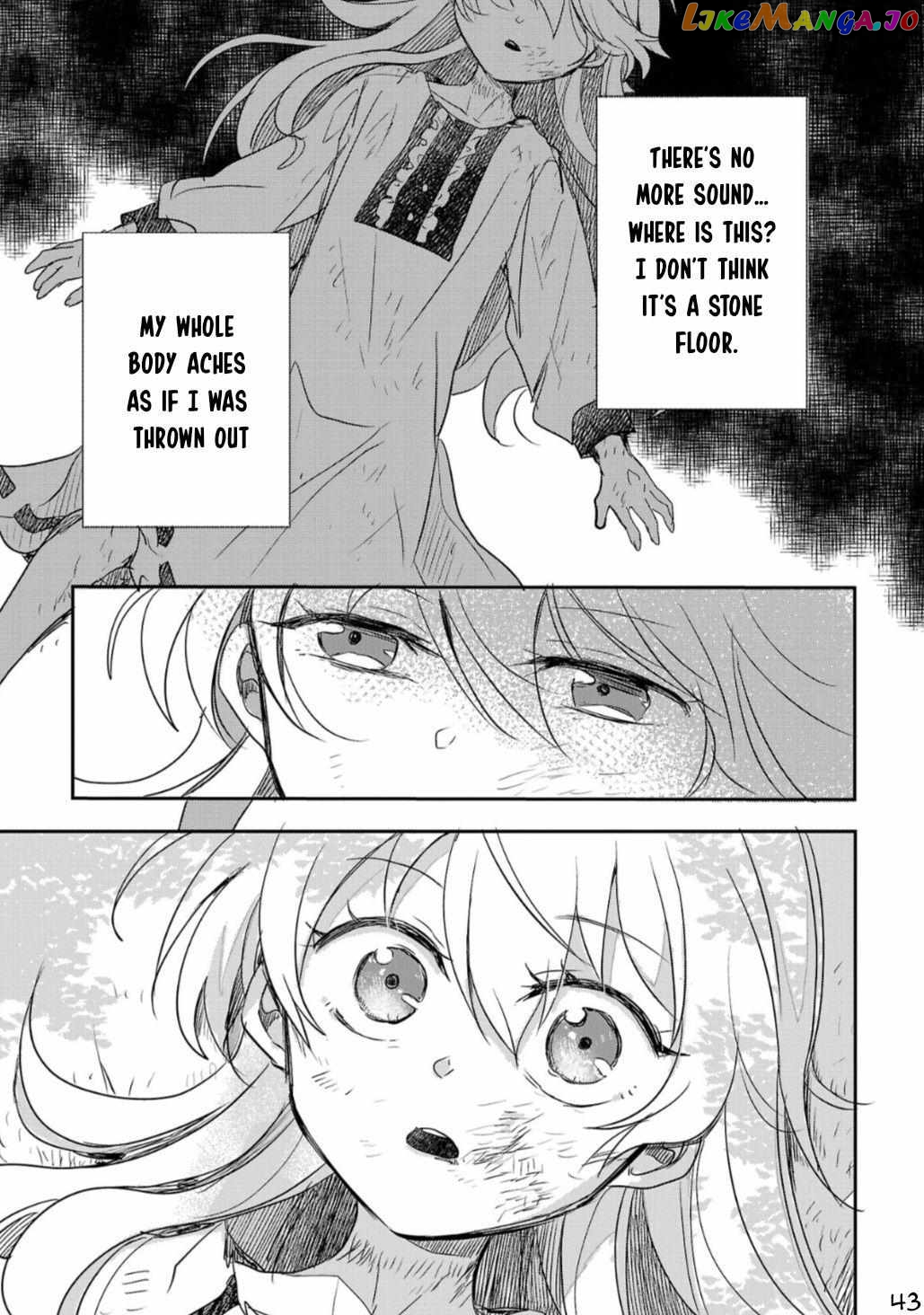 Gyakutaisarete Ita Shouka no Reijou wa Seijo no Chikara wo Te ni Ire, Mujikaku ni Youshanaku Gyakushuu suru chapter 1 - page 44