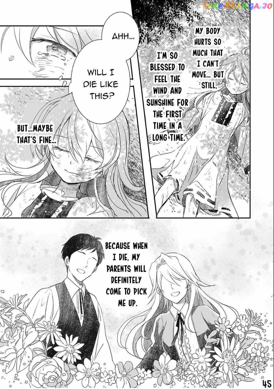 Gyakutaisarete Ita Shouka no Reijou wa Seijo no Chikara wo Te ni Ire, Mujikaku ni Youshanaku Gyakushuu suru chapter 1 - page 46