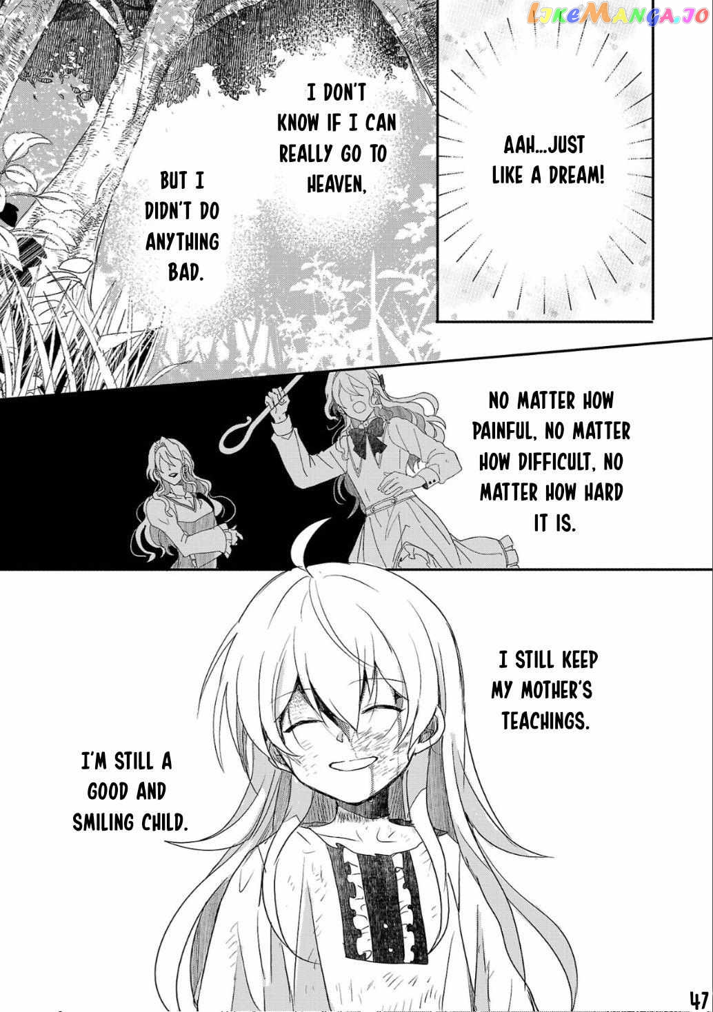 Gyakutaisarete Ita Shouka no Reijou wa Seijo no Chikara wo Te ni Ire, Mujikaku ni Youshanaku Gyakushuu suru chapter 1 - page 48